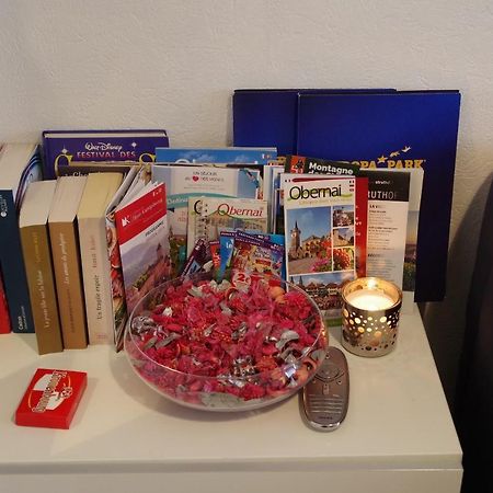 Nid Douillet A Obernai Apartment ภายนอก รูปภาพ