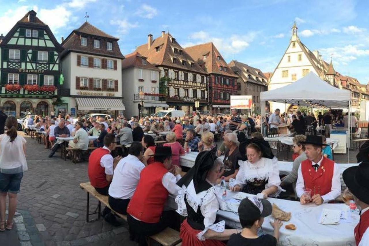 Nid Douillet A Obernai Apartment ภายนอก รูปภาพ