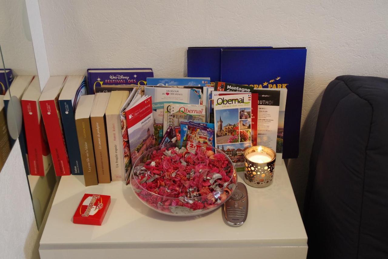 Nid Douillet A Obernai Apartment ภายนอก รูปภาพ